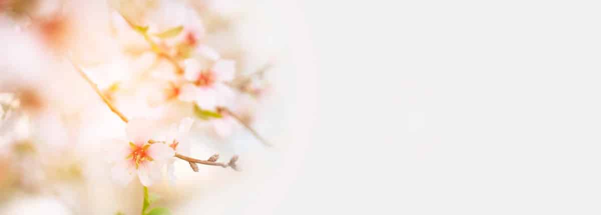 comprar flores para funerales